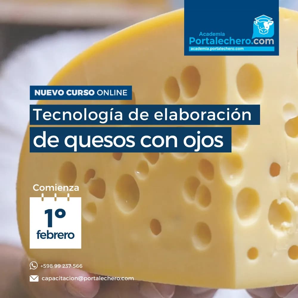 ONLINE COURSE: Cheese with Eyes Making